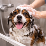 Bath Only