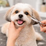 Face Trim