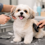 Grooming