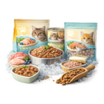 Wet Food